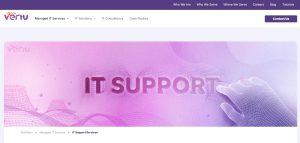 TechVertu IT Support