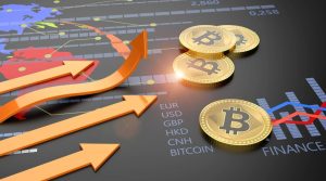 The Rise of Crypto-Friendly Ecosystems for Startups