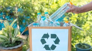 Why Look for Alternatives to Clearabee