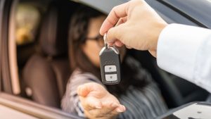 Choosing Vehicles for a New Transport Business