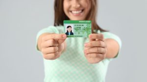 Understanding Transport Licence Types in the UK